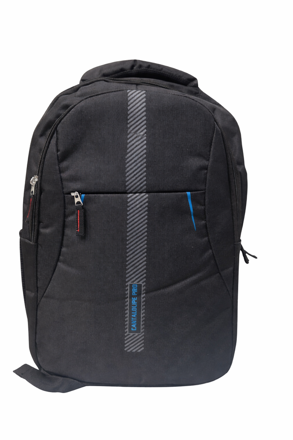 Lightweight Bagpack for Everyday Use