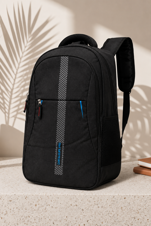 Lightweight Bagpack for Everyday Use